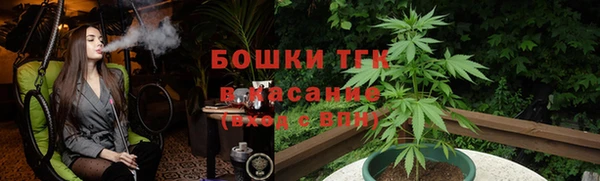 дурь Бежецк