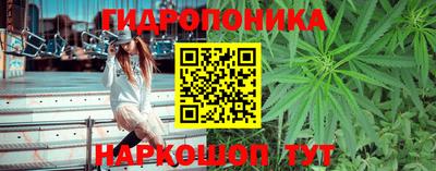 крисы Берёзовский