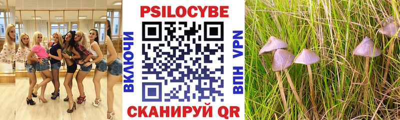 Псилоцибиновые грибы Cubensis  Люберцы 