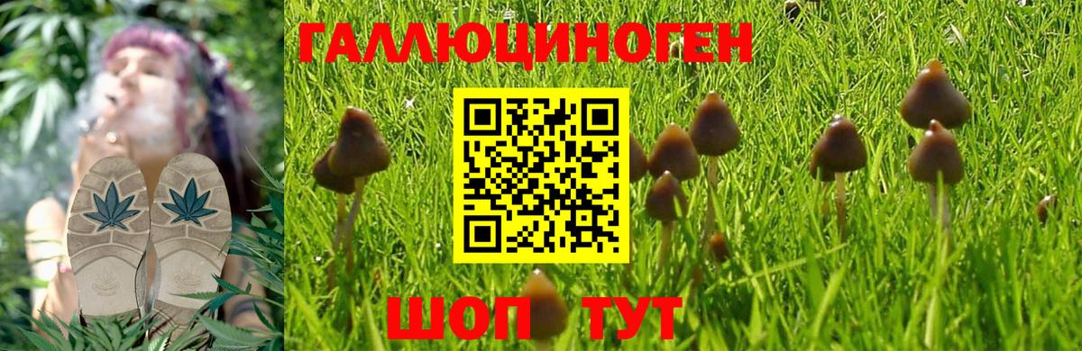 Люберцы  Галлюциногенные грибы Magic Shrooms  Вход с VPN 