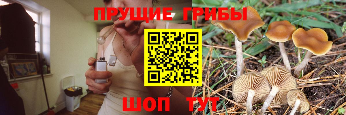 Галлюциногенные грибы мухоморы  цены   Псилоцибиновые грибы ЛСД  Люберцы 