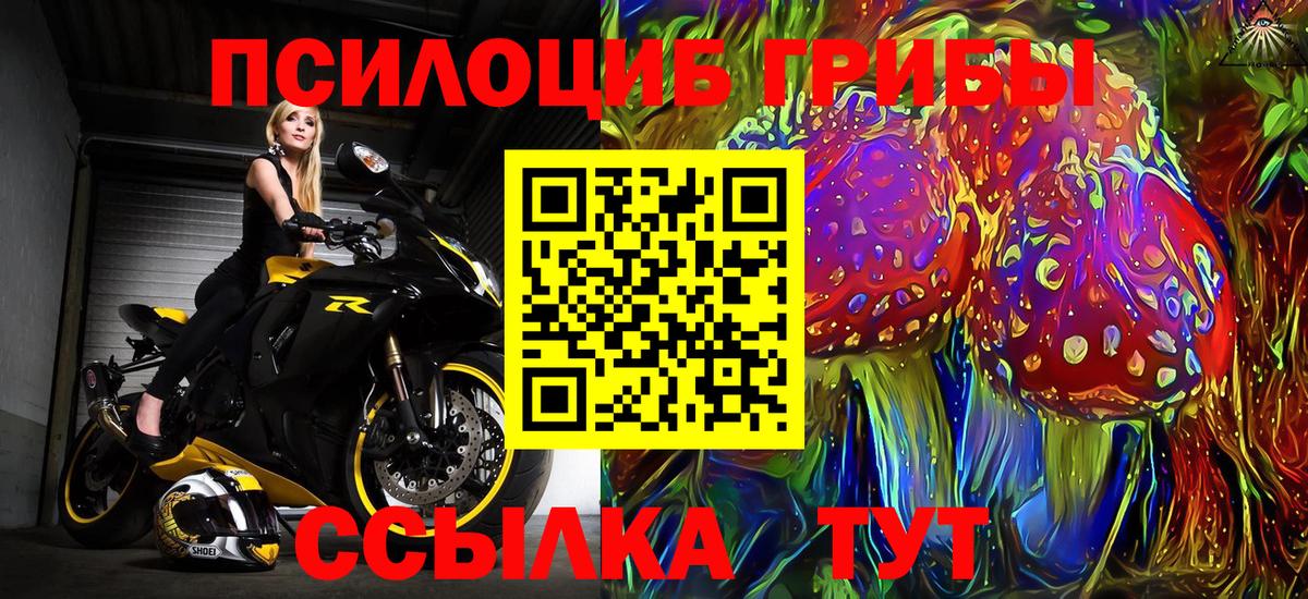 Галлюциногенные грибы Psilocybine cubensis Люберцы